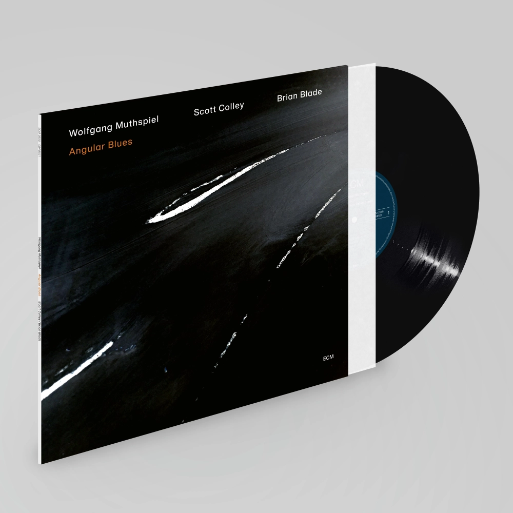 ecm-records-angular-blues-wolfgang-muthspiel-trio-jazz-cd image 2