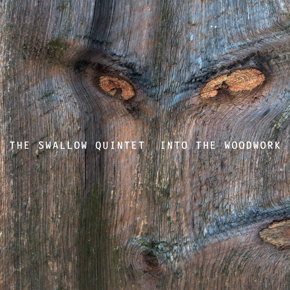 ecm-records-steve-swallow-into-the-woodwork-cd-quintett-mit-carla-bley image 1
